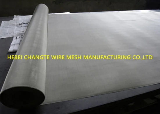 Rete metallica in acciaio inossidabile a maglia fine 304 316/rete metallica in acciaio inossidabile/schermo a maglia fine
